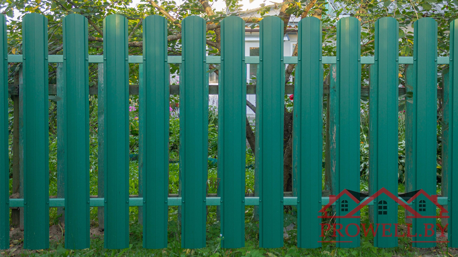 Металлический штакетник "Рубин" RAL 6005 (зеленый мох) МАТ+ калитка
